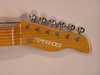 Fernandes tele 3.jpg